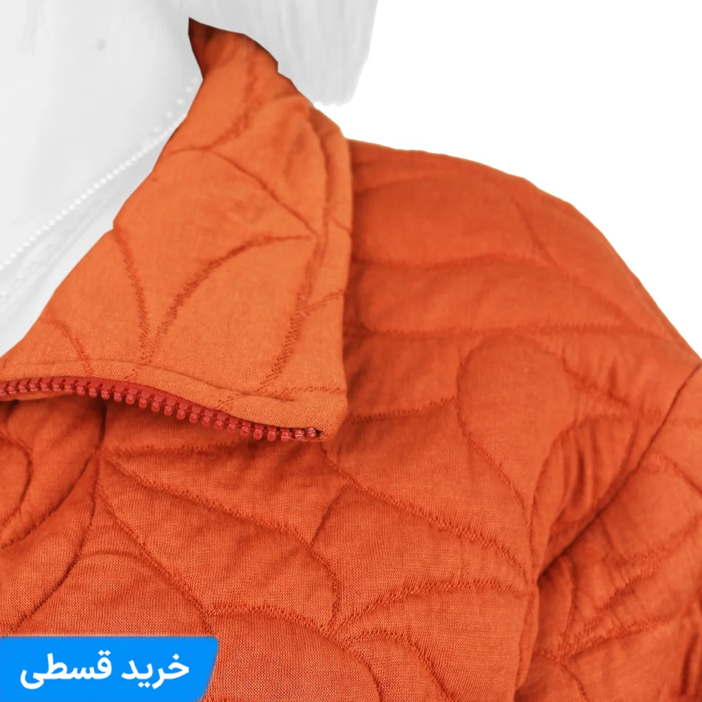 7101020-1.webp سویشرت یقه شکاری زنانه - تصویر 1