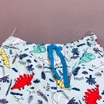 ست تیشرت و شلوارک پسرانه پنتی Penti طرح دایناسور - تصویر 5